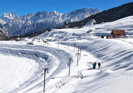 Auli